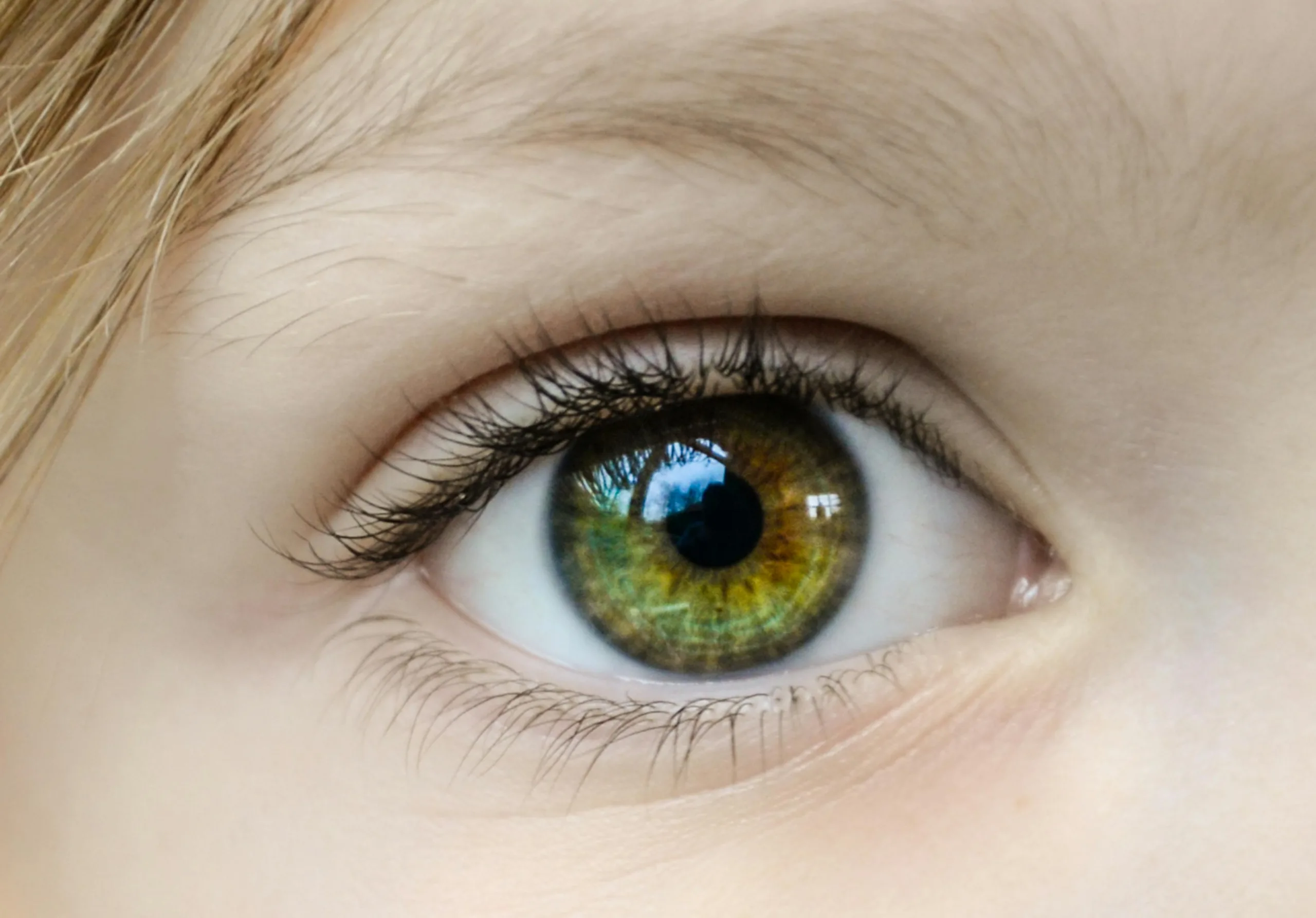 eye-front-view