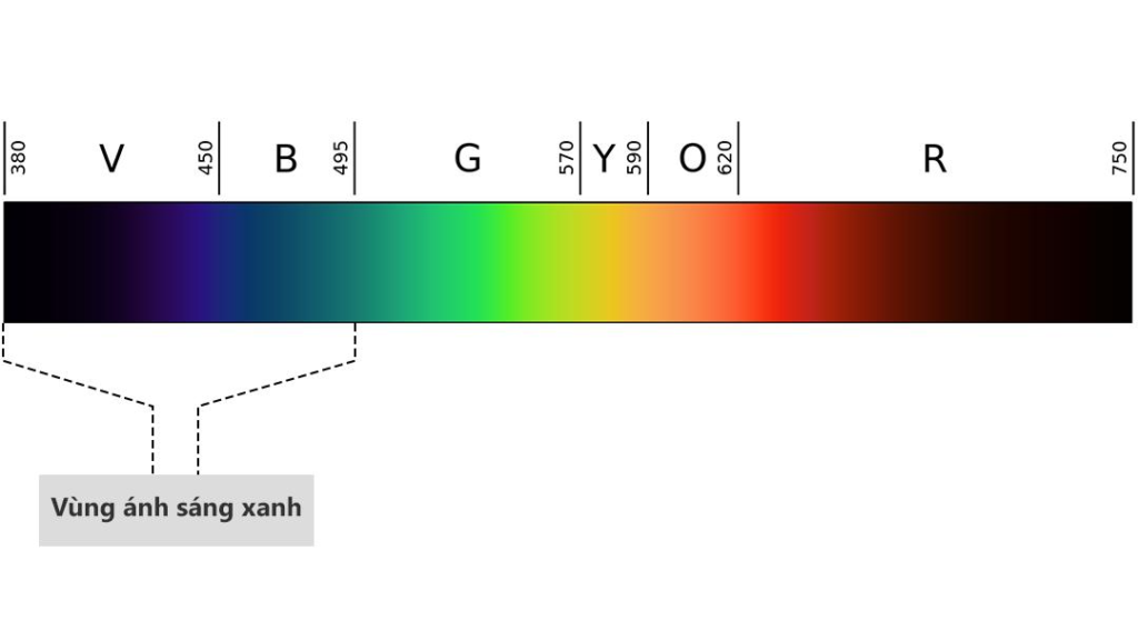 Vùng ánh sáng xanh và ảnh hưởng của ánh sáng xanh đến mắt