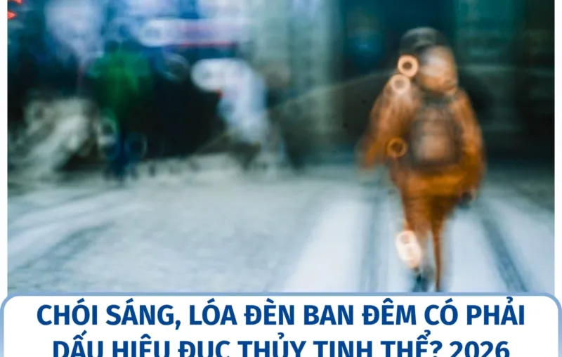 Chói sáng, lóa đèn ban đêm có phải dấu hiệu đục thủy tinh thể? 2026