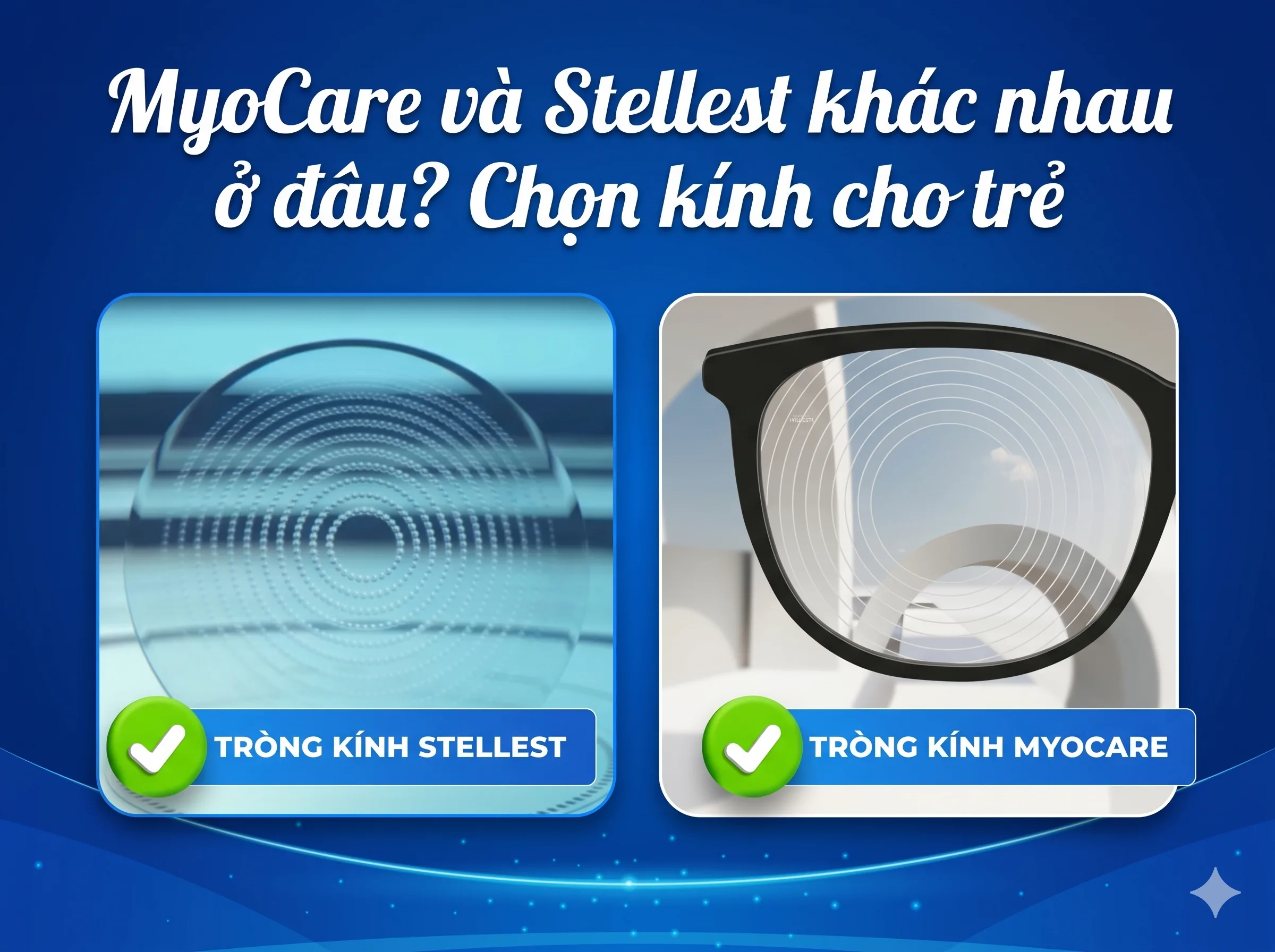 myocare va stellest khac nhau o dau