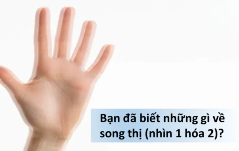 Song thị là gì? Nhìn đôi có nguy hiểm không
