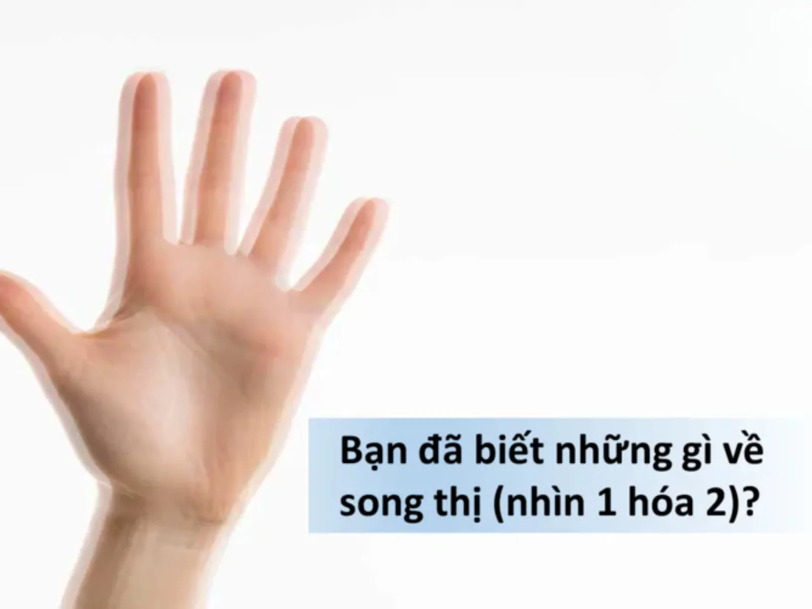 Song thị là gì? Nhìn đôi có nguy hiểm không